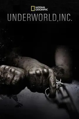 《黑市大企业第一季》：揭秘灰色地带的财富密码，小人物也能逆袭？