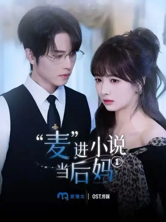 麦进小说当后妈 海报