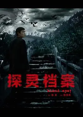 《探灵档案》：挑战极限的惊悚之旅，超自然现象的真相揭秘与人性深渊的拷问